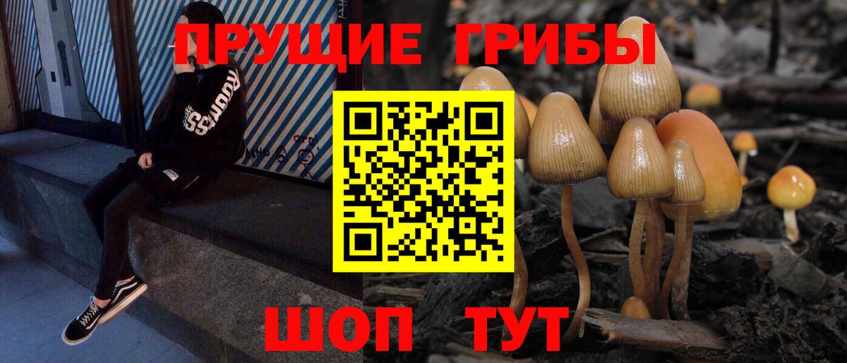 Галлюциногенные грибы мицелий Ступино