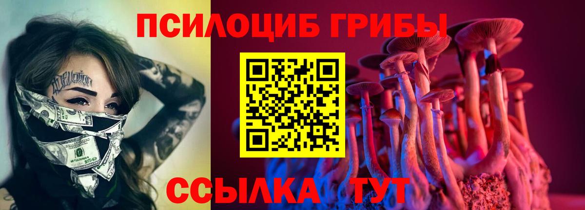 Ступино  Галлюциногенные грибы прущие грибы  Вход с VPN  Галлюциногенные грибы MAGIC MUSHROOMS 